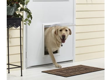 close up of Andersen storm door with dog door